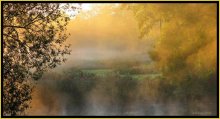 Golden Fog / ***