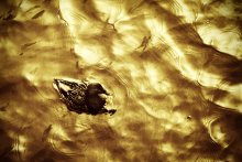 As the golden river ... / ***