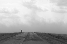 dust / ---
