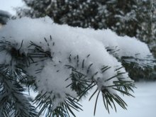 Ein sanfter Schnee! / ***