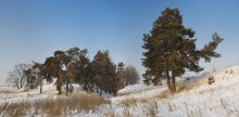 Frost und Sonne / ....
