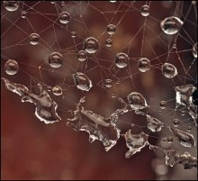 Winter-Echos der Sommerhitze ... / ***