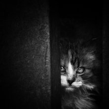&nbsp; / Andrey Vahrushew