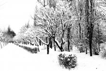 Winter Park / *****