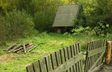 Forest comfort / *****