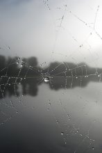 like a drop of morning dew ... / ---