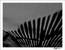 refraction / **************