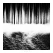 [ NO NAME ] / |||||||||||| 
------------