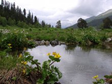 Mountain Lake / ***