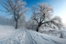 frost two paths / ***