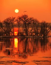 Following the sun / ***