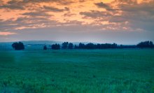 Dawn / ***