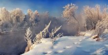 Misty Morning / ***