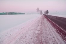 Pink morning / *******