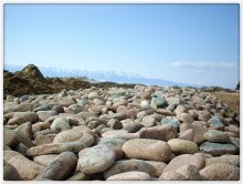 Pebble / ***