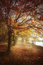Autumn theme / *******