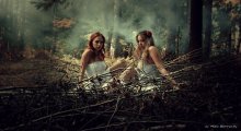 from fairy tales / ******