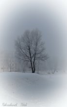 poplars by the lake / ***