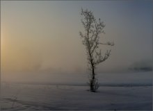 About the fox had gone to the east ... / ****