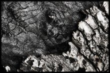 Fire &amp; wood / ***