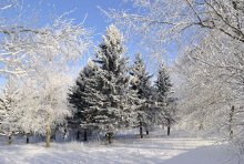 Wintermärchen / ***