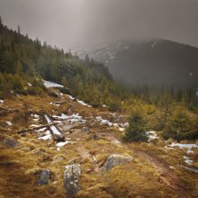 Vuhaty Spur auf dem Felsen ... / ***