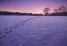 Following the sun / ***
