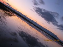 Evening / ***
