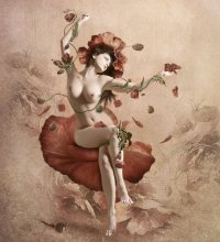 Poppy-head / ***