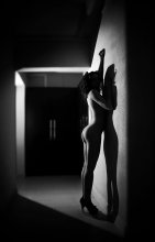 Shadow / ***
