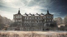 Pidhirtsi Schloss / ***