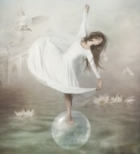 Seagull / ***