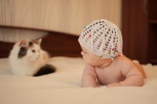 A man and a cat.) / ***