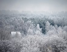 February / ---