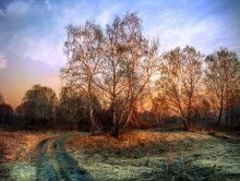 SPRING MORNING / ***