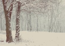 when - the trees were going to the woods .... / ***