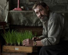 Portrait with green onions / ***