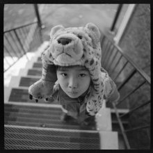 飞虎 / ***