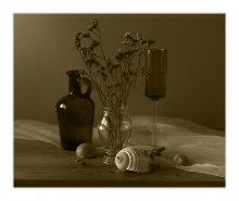 With shells .... / ***