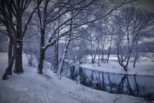 One winter morning / ***