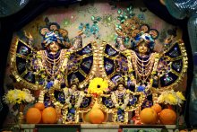 Shri Shri Goura - Nitai / ***