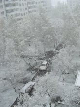 snowfall, top view / ***
