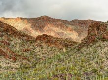 &nbsp; / Tucson, Arizona