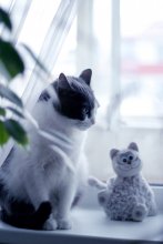 Wer ist wer? / ................