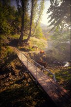 Dawn of an autumn day / ***
