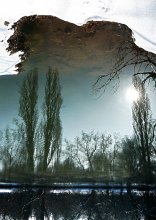 Landscape of the Looking-Glass / ***