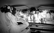  / Wedd-