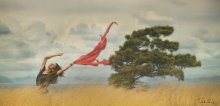 Breath of Wind / **********