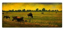 Pastoral / ***