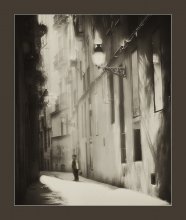 About a boy, which was released for a walk :) / ***